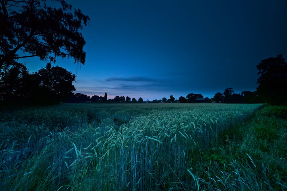 Ein Feld auf dem Dorf im Abendmond und Sonnenuntergang.